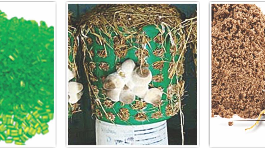 Amazing Bangladeshis 4.jpg