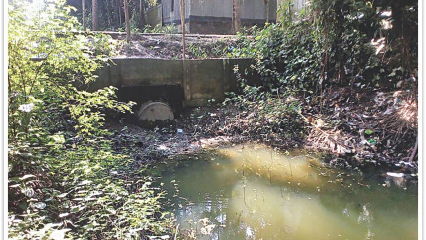 canal near dautia bazar