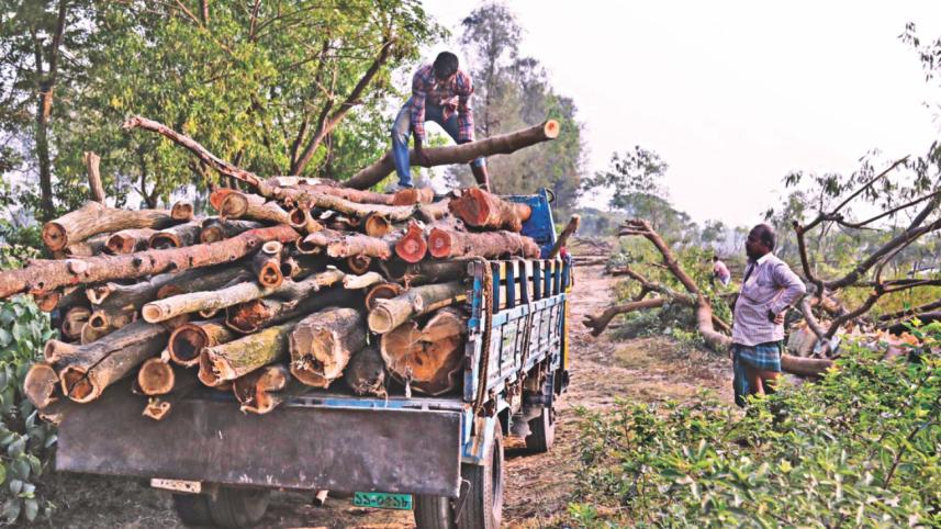 cda Deforestation 2.jpg