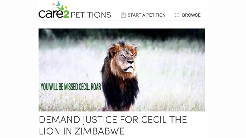 Cecil-petition-3-WEB.jpg