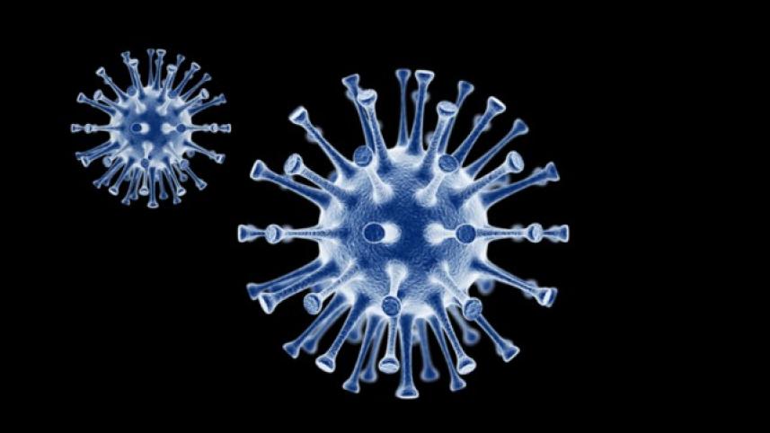 Coronavirus infection