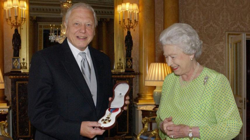 David-Attenborough-3WB.jpg