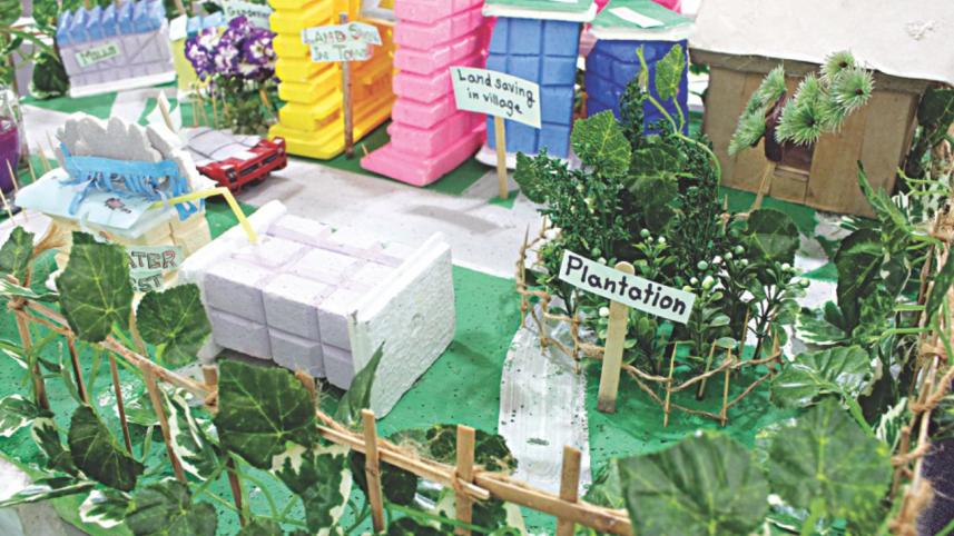 Environmental Activism