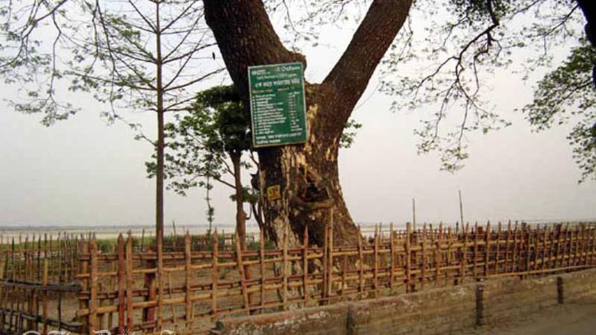 Gaibandha-Fulchari-mass-grave