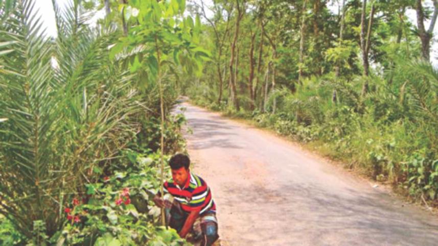 jahir raihan the planter 2.jpg