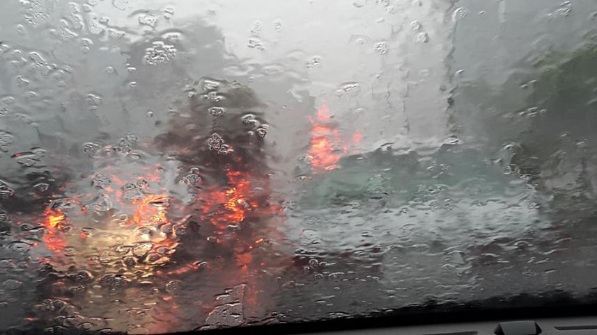 Rain-Johora Bebe.jpg