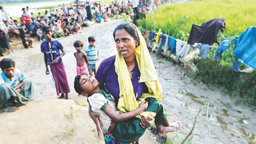 Rohingya influx again