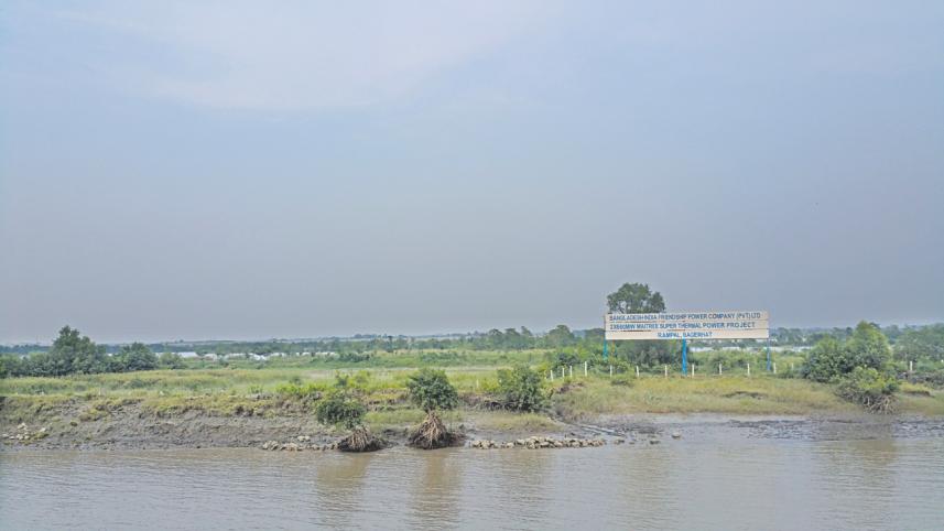 sundarbans 2.jpg
