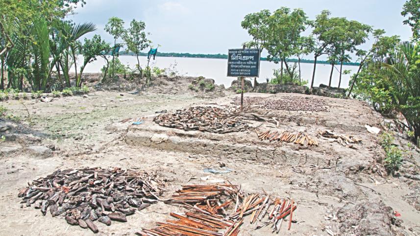 sundarbans 4.jpg