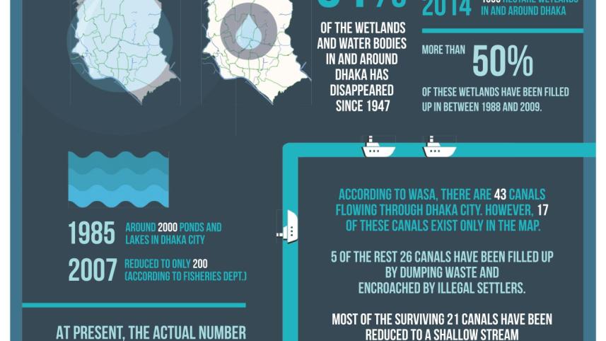 wetlands_infograph.jpg