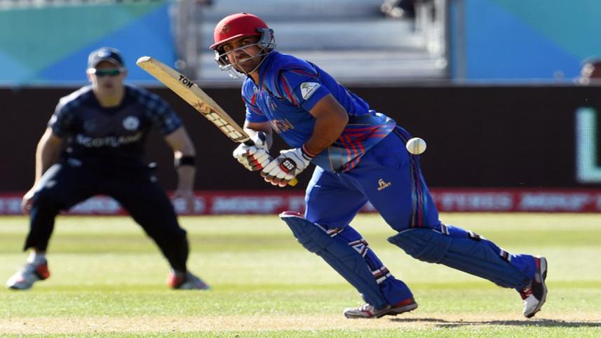 Shenwari lone warrior