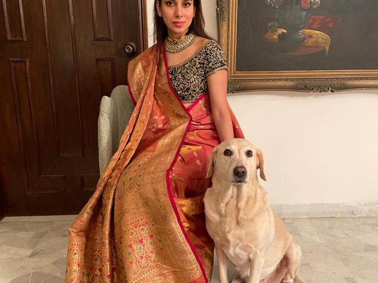 Punching through stereotypes: Nishat Khan's unconventional path to boxing success