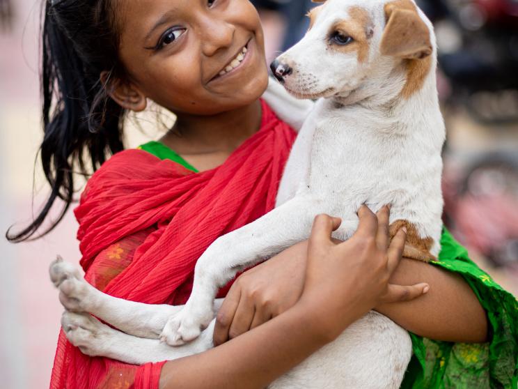 Why do we hurt helpless animals? 