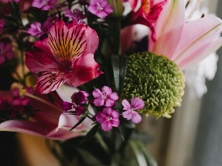 How to stop your flowers from dying as fast as your New Year’s Resolutions           kelly-sikkema-70ahsj4za4m-unsplash.jpg