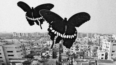 cultural imagination