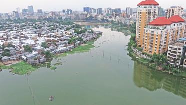 A contrasting view.jpg