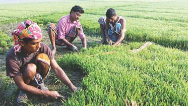 Agriculture lending picks.jpg