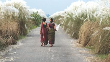 Are you being entertained