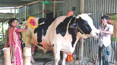 Attraction Raja Babu