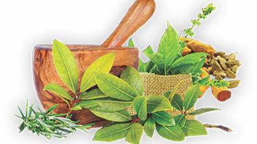 Ayurvedic medicines