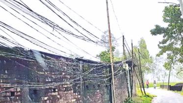 bamboo electric poles.jpg