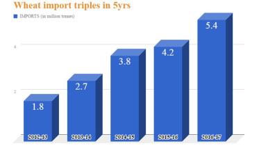 bangladesh-wheat-import-wb.jpg