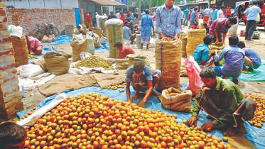 betel nut growers.jpg