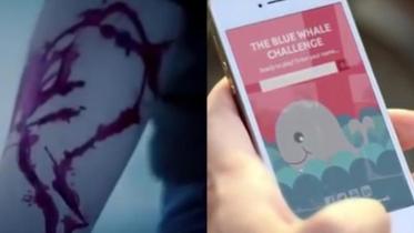 Blue Whale Challenge