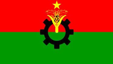 bnp-flag.jpg