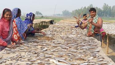 Chalan Beel fishers.jpg