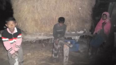 chandpur 15.1.16.jpg