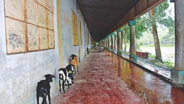 0% pass rate in HSC exam result 2018