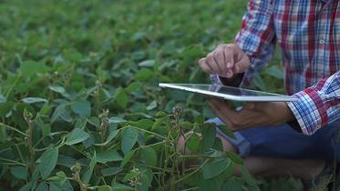 Commonwealth Ins.jpg