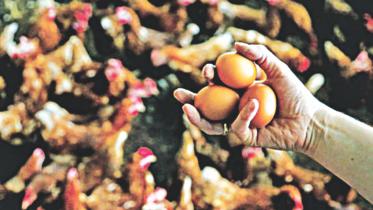 Contaminated food.jpg