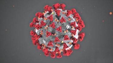 Coronavirus Outbreak