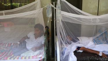 Dengue infected patients are seen hospitalised 
