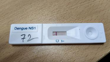 dengue fever test