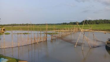 Dhamai river fenced.jpg