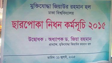 du bedbug campaign.jpg