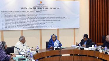  ecnec approved projects