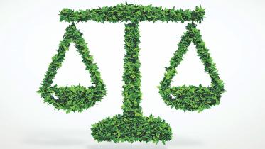 environmental law verdicts.jpg