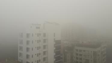 Fogy Weather  