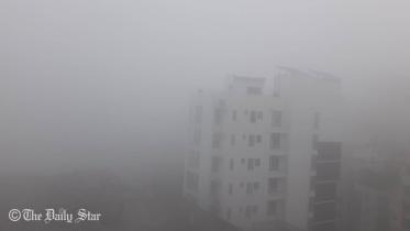 fog.jpg