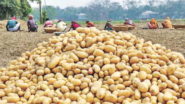 food security during pandemic.jpg