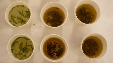Green-Tea-1WB.jpg