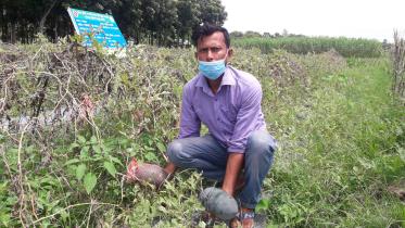 Habibur-now-farming-hero.jpg