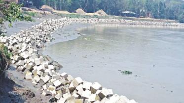 WDB Embankment on Halda