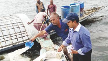 haor contamination.jpg