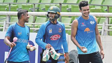 Have formed the basic structure