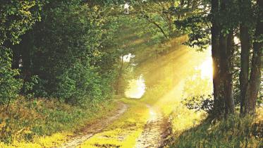 Melbourne Diurnal.jpg